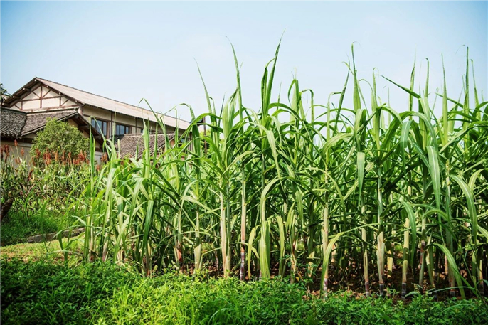 1573802458506629.jpg 微信圖片_20191115144801.jpg