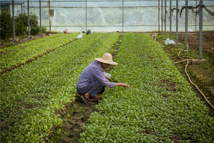 1573803152307187.jpg 微信圖片_20191115144849.jpg