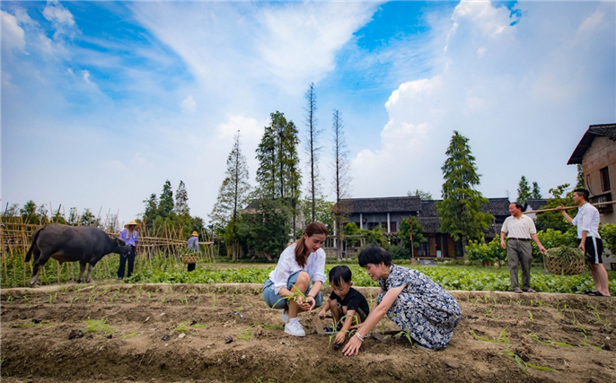 1573803160936434.jpg 微信圖片_20191115150001.jpg