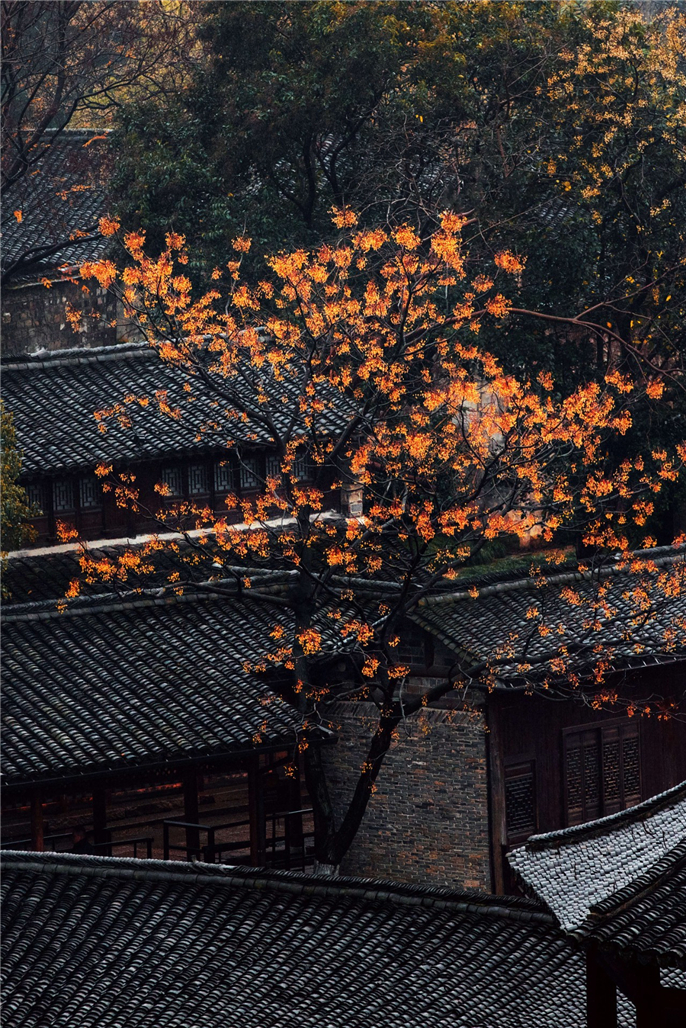 1574127055590430.jpg 微信圖片_20191119092416.jpg