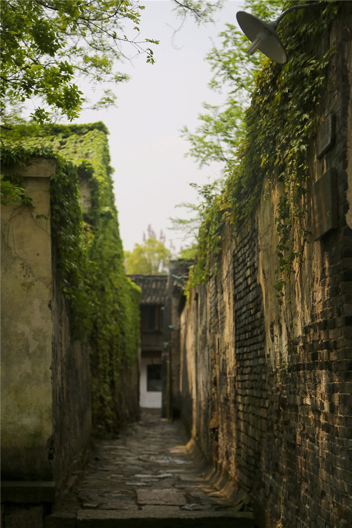 1574127160439447.jpg 微信圖片_20191119092439.jpg