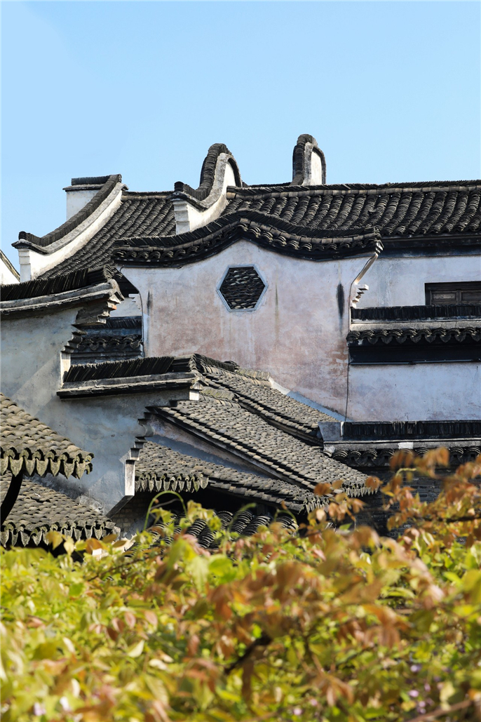 1574127217535904.jpg 微信圖片_20191119092451.jpg