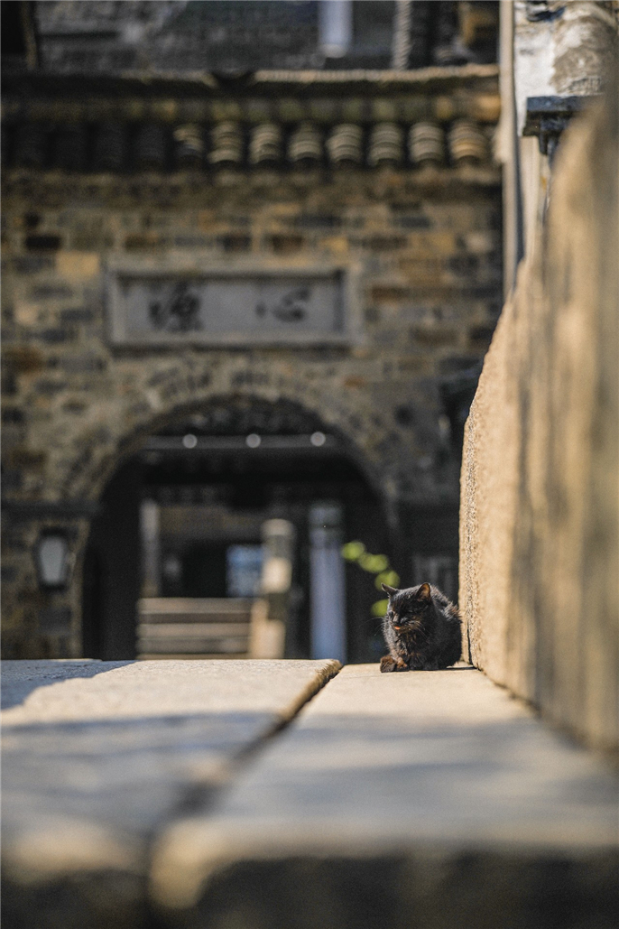 1574127229957754.jpg 微信圖片_20191119092455.jpg