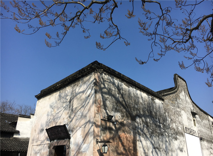 1577752171563914.jpg 微信圖片_20191231081027.jpg