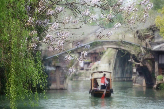 1580187104893387.jpg 微信圖片_20200128122556.jpg