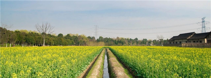 1582887296617387.jpg 微信圖片_20200228184750.jpg