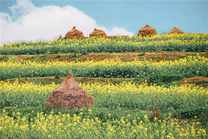 1582887316993229.jpg 微信圖片_20200228184753.jpg