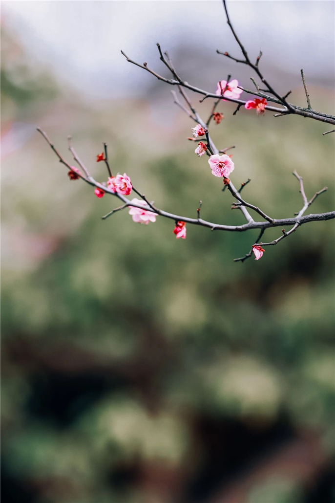 1582887373213648.jpg 微信圖片_20200228184756.jpg