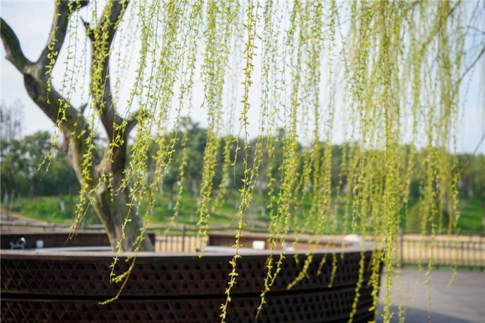 1582887386906568.jpg 微信圖片_20200228184802.jpg