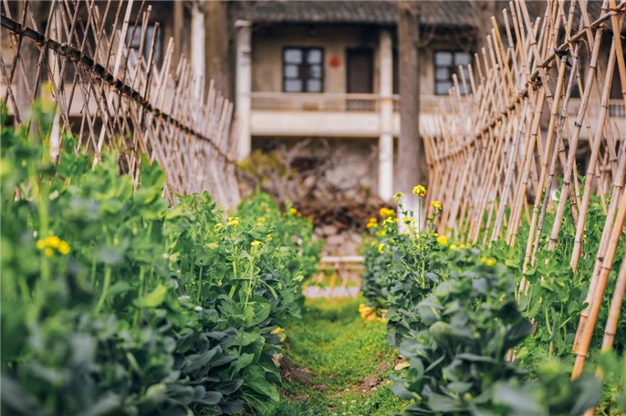 1582887433550287.jpg 微信圖片_20200228184807.jpg