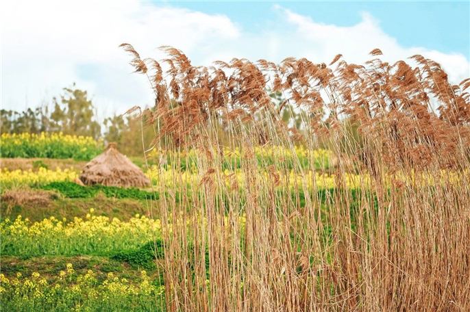 1582887438738507.jpg 微信圖片_20200228184818.jpg