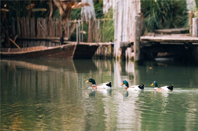 1582887775486401.jpg 微信圖片_20200228184824.jpg