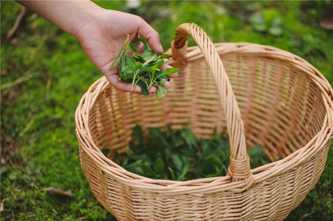 1582887784683412.jpg 微信圖片_20200228184829.jpg