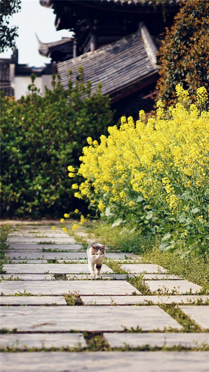 1583388065175594.jpg 微信圖片_20200305134656.jpg