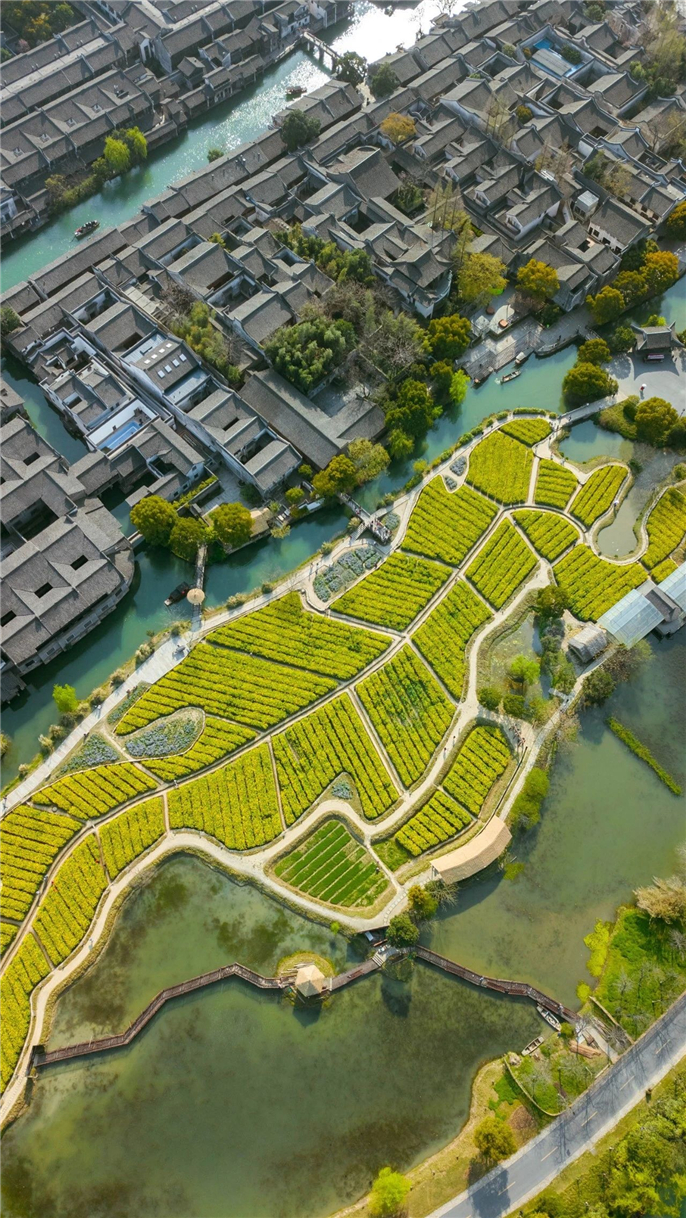 1583388103287972.jpg 微信圖片_20200305134659.jpg