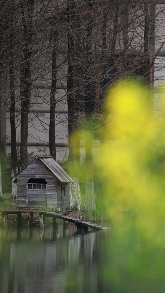 1583390515678761.jpg 微信圖片_20200305134708.jpg