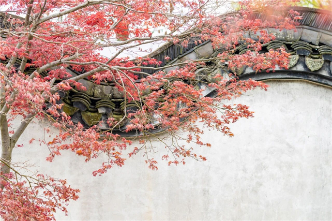 1586996459188599.jpg 微信圖片_20200416081057.jpg