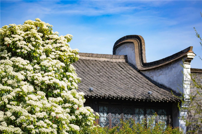 1586997368600792.jpg 微信圖片_20200416081135.jpg