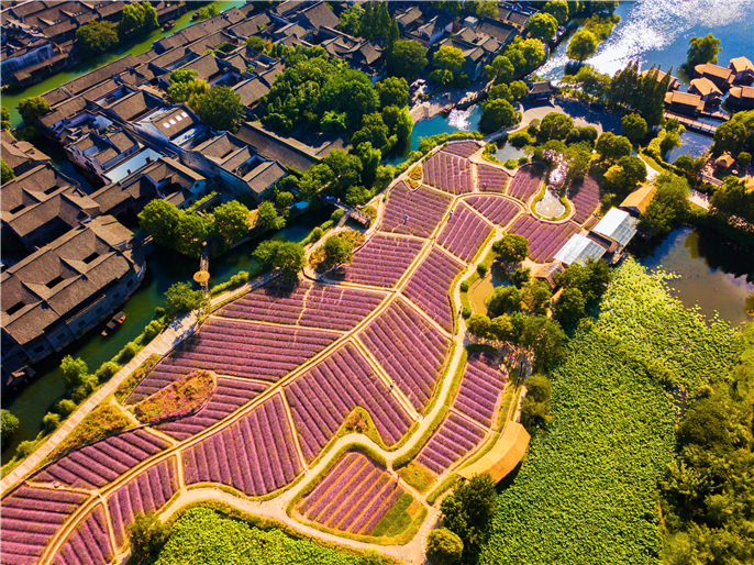 1596503120924234.jpg 451096734490497732.jpg