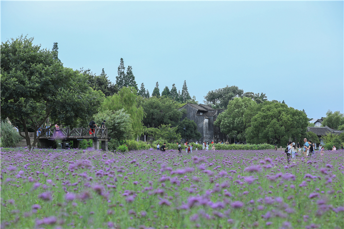 1596503145592344.jpg IS4A0674.jpg