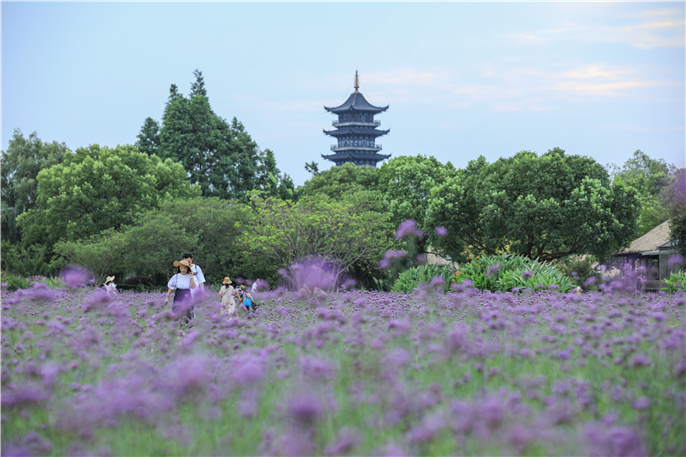 1596503159514184.jpg IS4A0688.jpg