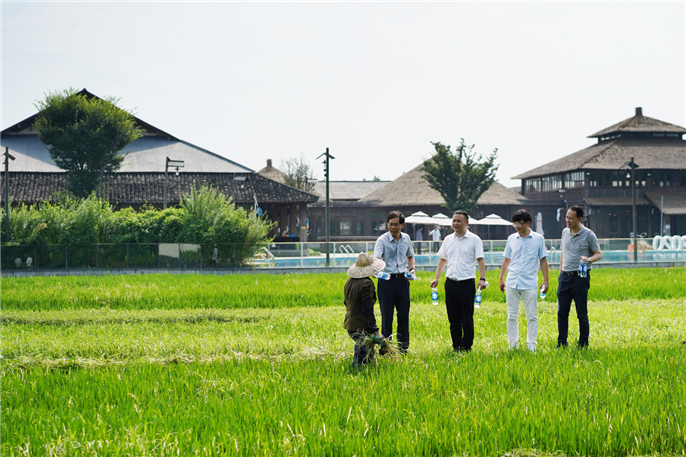 1597131379701926.jpg WeChat Image_20200811153100.jpg