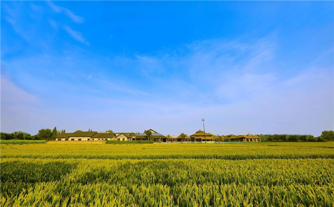 1603067330439453.jpg WeChat Image_20201019081328.jpg