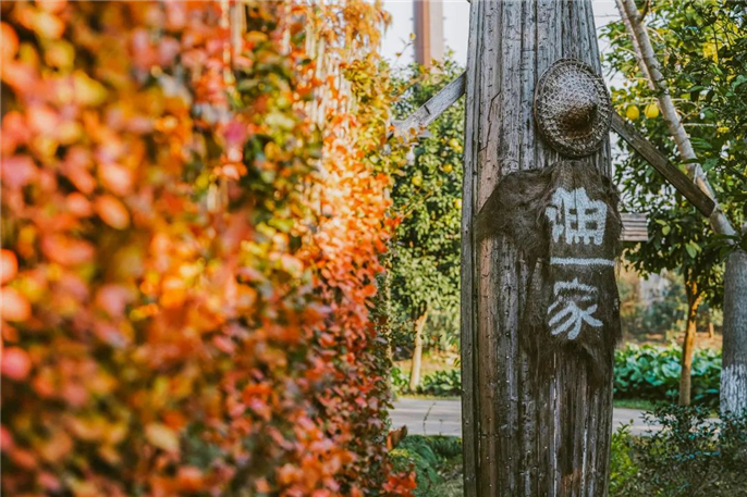 WeChat Image_20201119082305.jpg