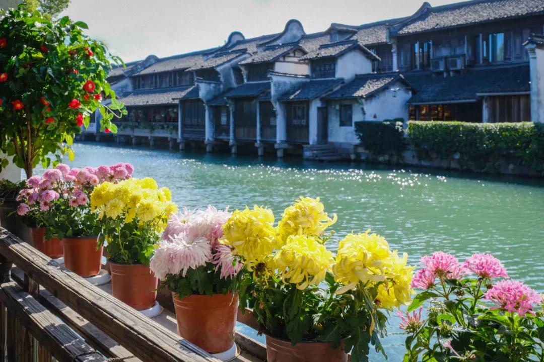 1606437413678951.jpg 微信圖片_20201127083541.jpg