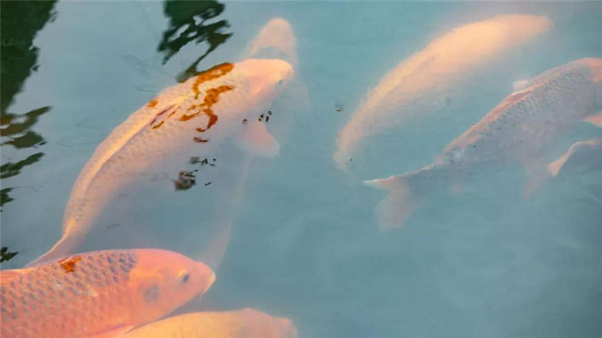 1625730822240554.jpg WeChat Image_20210708153116_副本.jpg