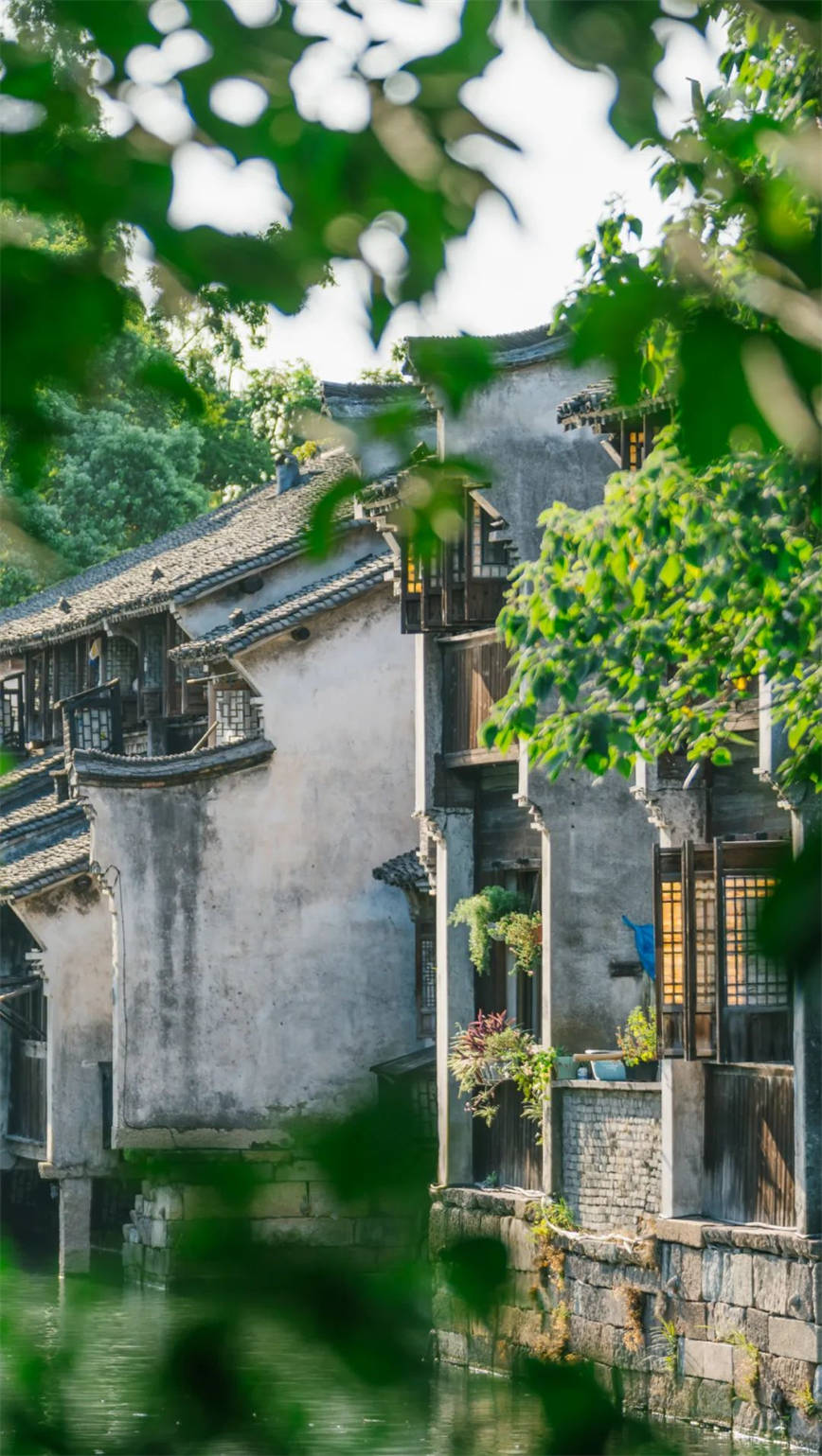 1688536125753995.jpg 640 (1)_副本.jpg