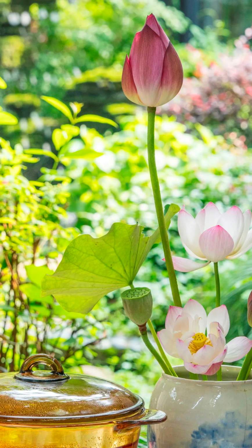 1688536810485932.jpg 640 (26)_副本.jpg