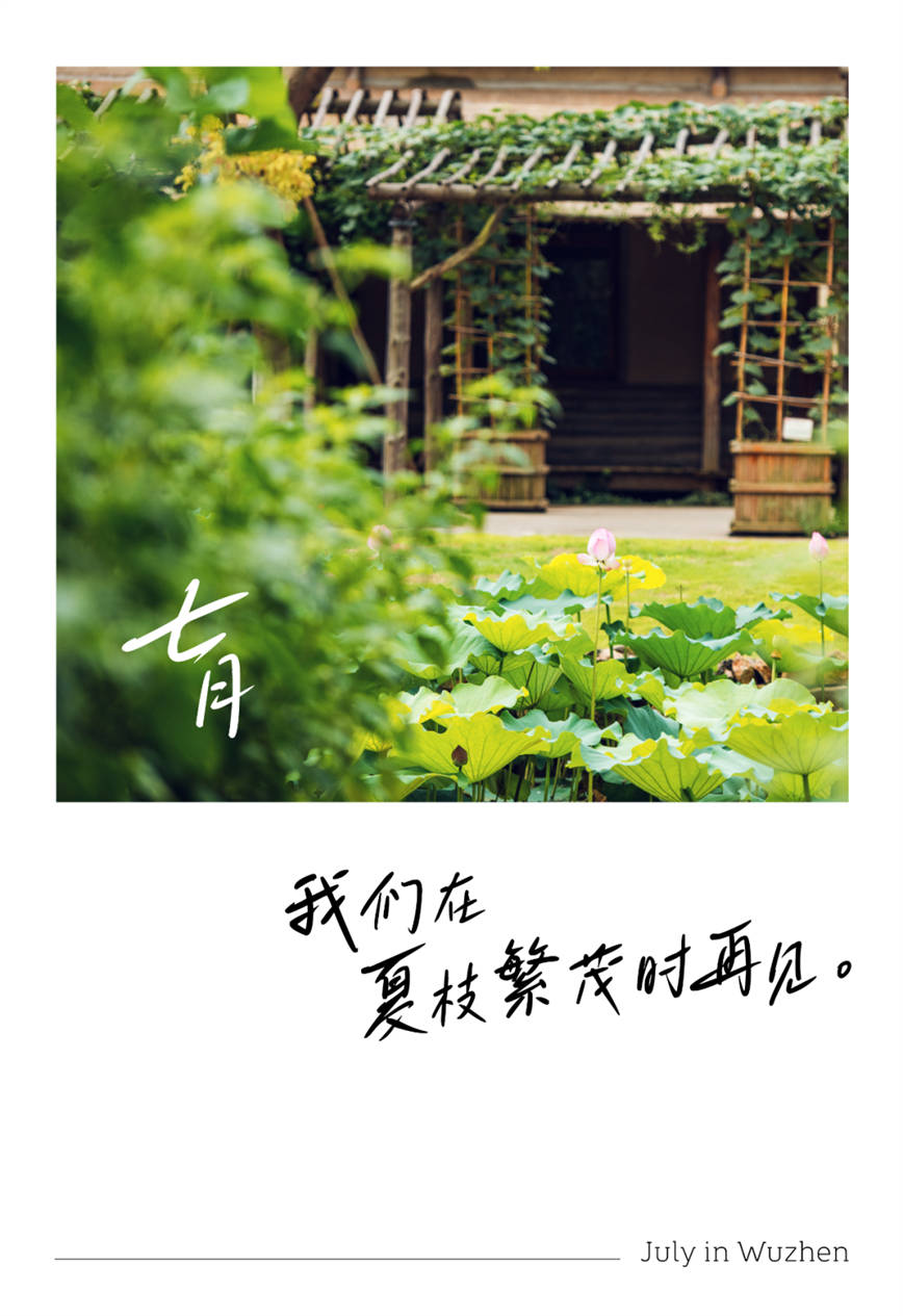 1688537106181589.jpg 640 (14)_副本1.jpg