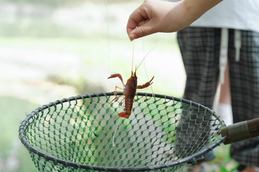 1689231482694518.jpg DSC05587_副本.jpg