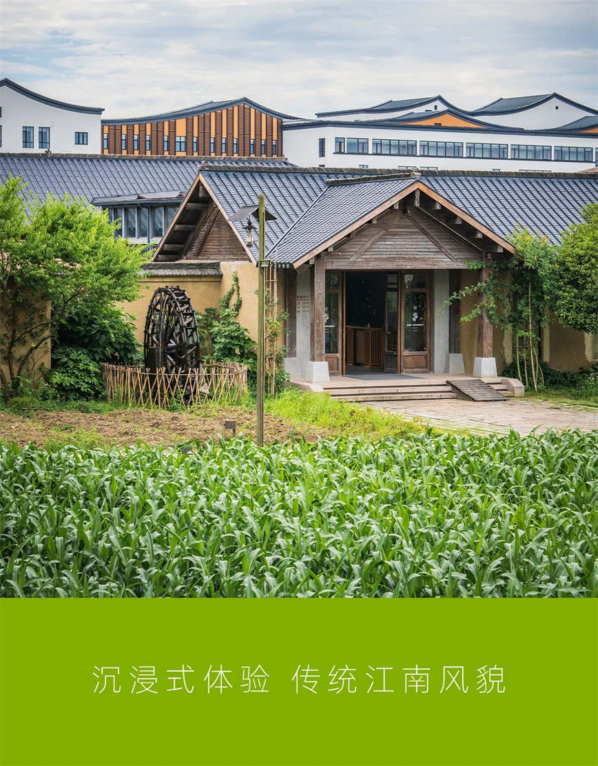 1721106854523304.jpg 微信圖片_20240716112036.jpg