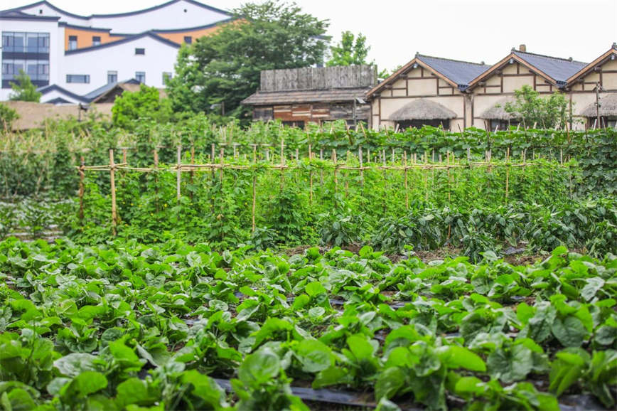 1721106889732371.jpg 微信圖片_20240716112230.jpg