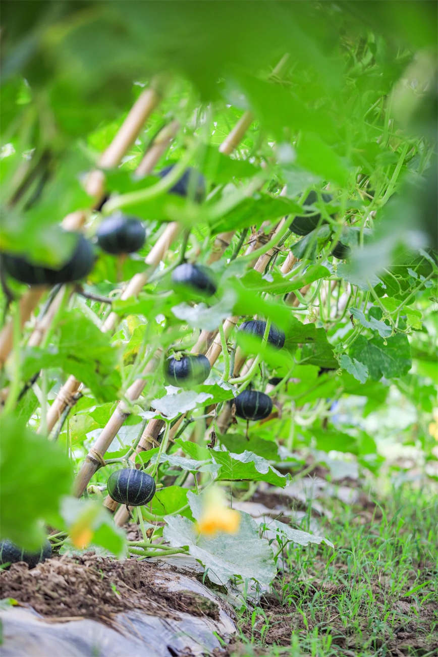 1721106891896158.jpg 微信圖片_20240716112240.jpg