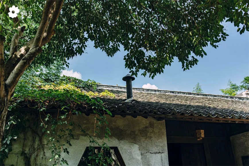 1724048192499097.jpg 微信圖片_20240819141124.jpg