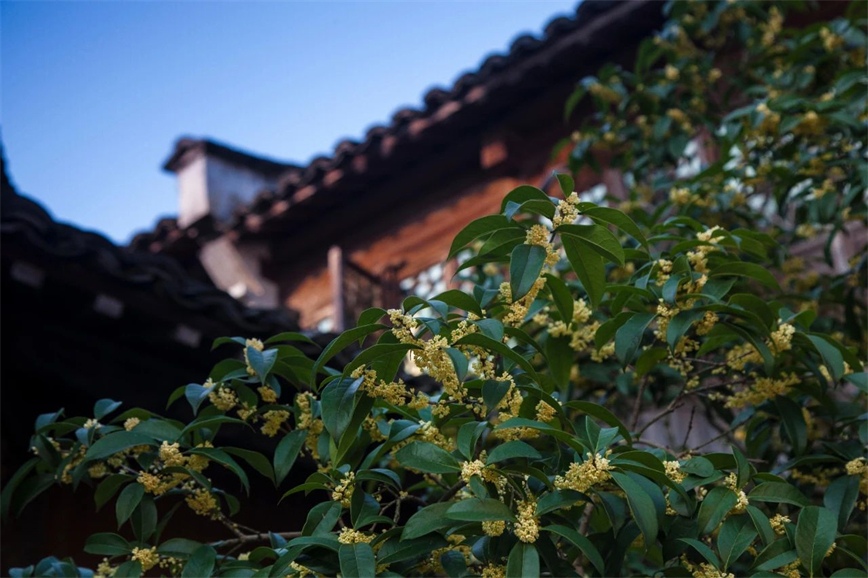 1728373158553894.jpg 微信圖片_20241008083621.jpg