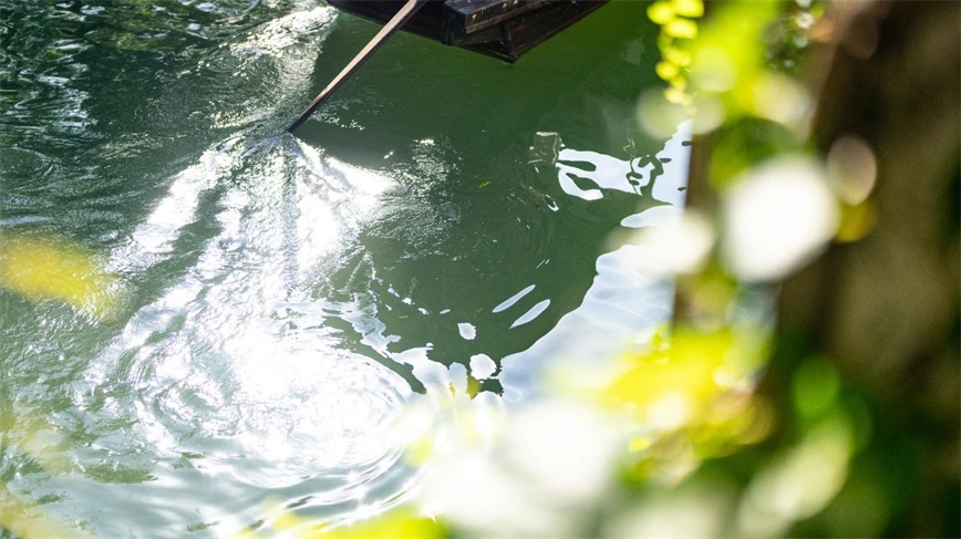 1728373161714324.jpg 微信圖片_20241008083625.jpg