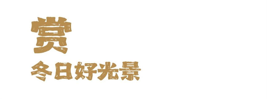 1736126430444068.jpg 微信圖片_20250106090942.jpg