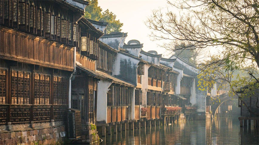 1736126459916608.jpg 微信圖片_20250106090949.jpg