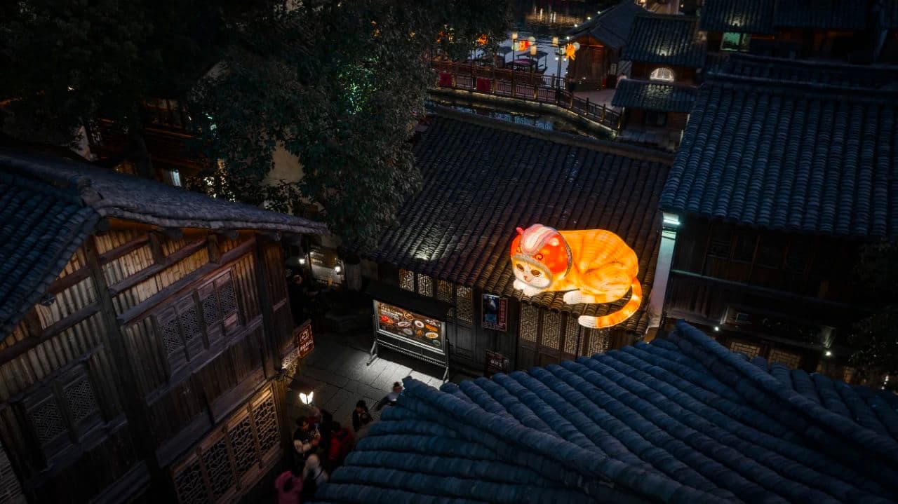 1738052316757970.jpeg 25.jpeg