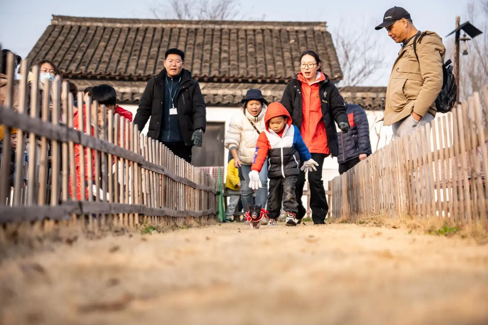 1738052480500383.jpeg 38.jpeg