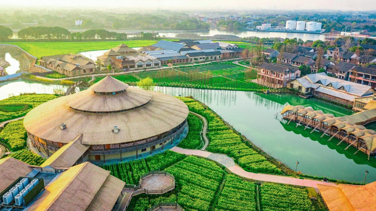 1740728602264832.jpeg 1.jpeg