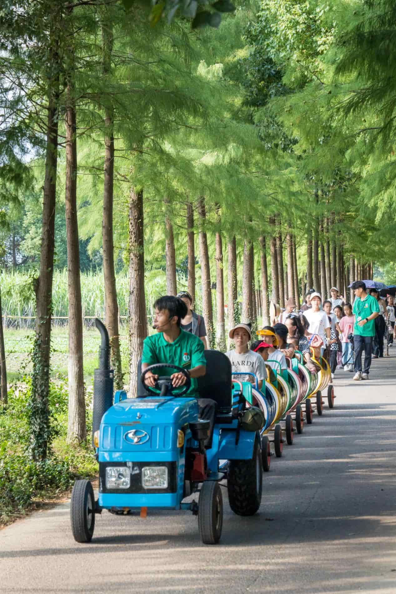 1740728615121929.jpeg 2.jpeg