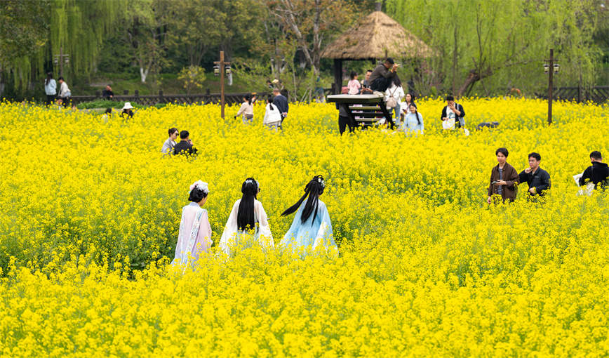 1744165539327304.jpg 微信圖片_20250409102118.jpg