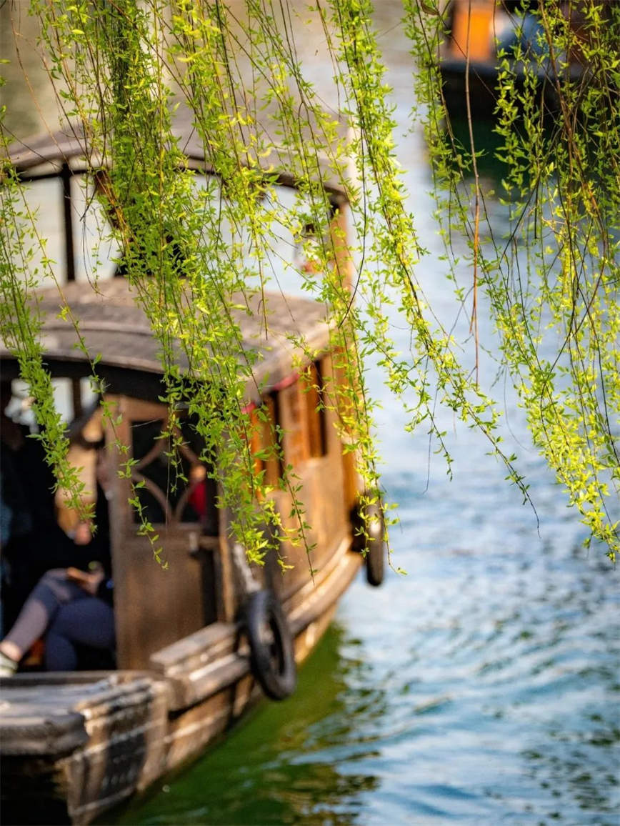 1744165544936870.jpg 微信圖片_20250409102121.jpg