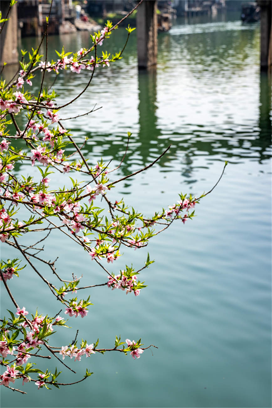 1744165570431337.jpg 微信圖片_20250409102129.jpg