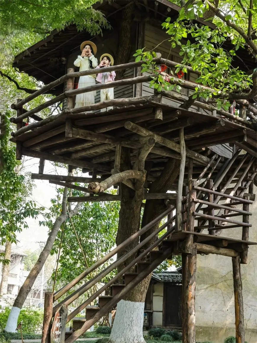 1744165598312456.jpg 微信圖片_20250409102140.jpg